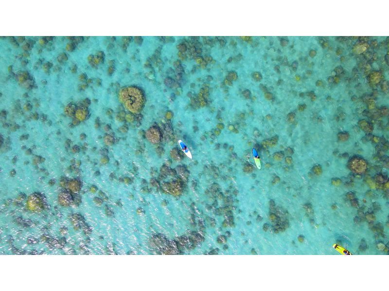 奄美大島★船でしか行けないコウトリビーチ【当日予約可能】ボートチャーター11名乗り(貸切3時間）ドローン空撮、GoPro動画での無料撮影付きの紹介画像