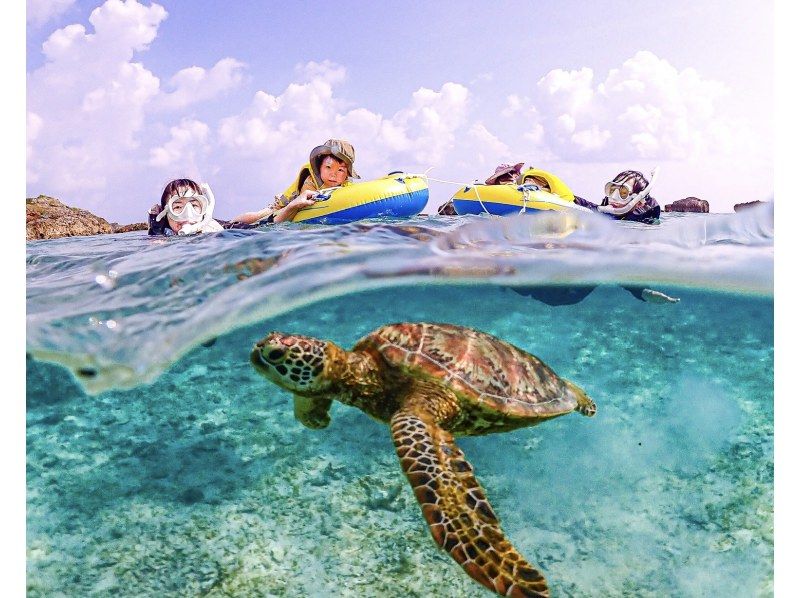 [Okinawa, Miyakojima] Play and learn! Free research snorkeling ~Worksheet gift included~の紹介画像