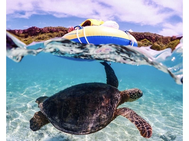 [Okinawa, Miyakojima] Play and learn! Free research snorkeling ~Worksheet gift included~の紹介画像