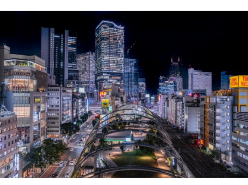 4-Hour Tokyo Night Tour: Shinjuku and Shibuyaの紹介画像
