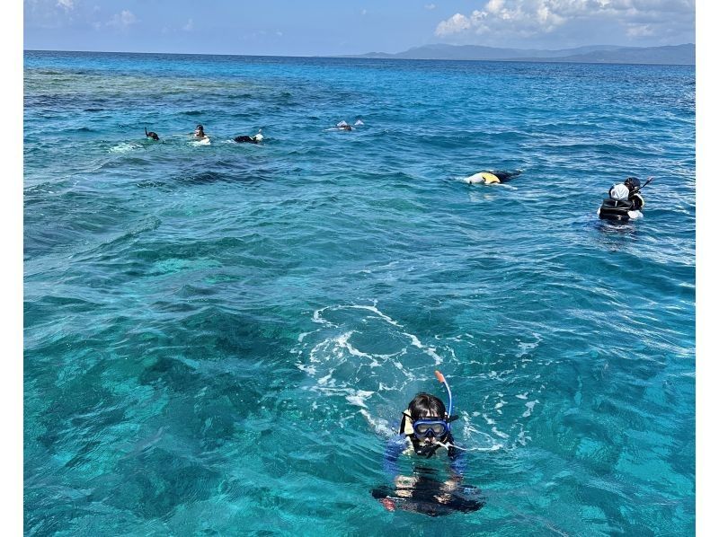 【沖縄・石垣島】半日シュノーケリング、トーイングチューブ遊び放題コース☆の紹介画像