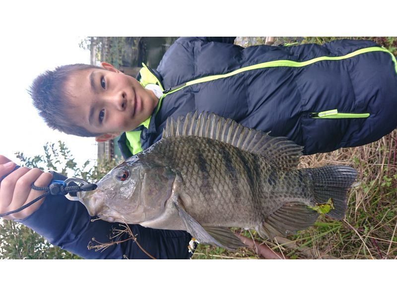 【東京都調布市】　夏休み自由研究全4回テーマ”川魚釣り三昧”どっつぷり学ぶ4日間金曜コース8月1日8日22日29日の紹介画像