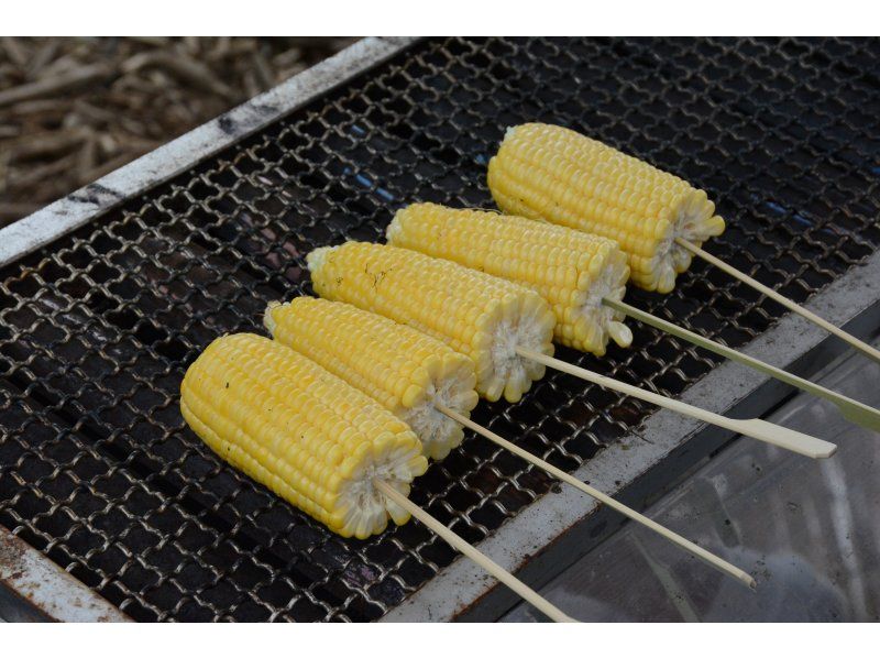 【長野県・八ヶ岳】ハマラノーエン×ちの旅　大人の自由研究シリーズ！メロンより甘い「八ヶ岳生とうもろこし」のヒミツに迫る！！の紹介画像