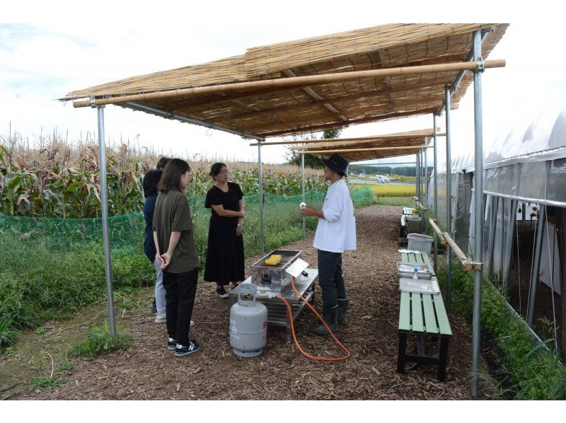 【長野県・八ヶ岳】ハマラノーエン×ちの旅　大人の自由研究シリーズ！メロンより甘い「八ヶ岳生とうもろこし」のヒミツに迫る！！の紹介画像