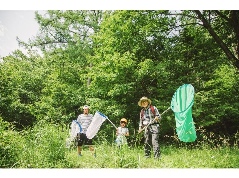 【長野県・八ヶ岳】大人もこどもも夢中ではしゃぐ 夏休み特別企画！ みんなの里山「市民の森」で いきもの探しの紹介画像