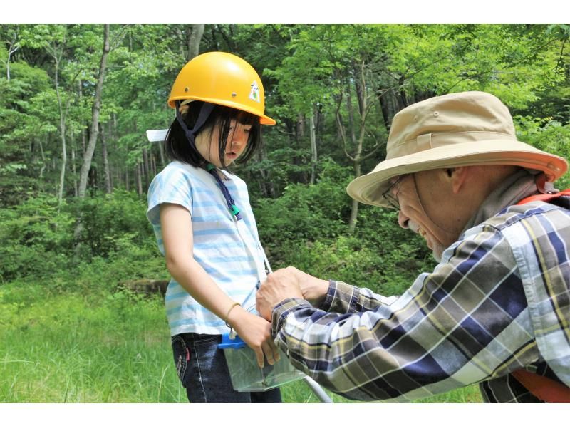 【長野県・八ヶ岳】大人もこどもも夢中ではしゃぐ 夏休み特別企画！ みんなの里山「市民の森」で いきもの探しの紹介画像