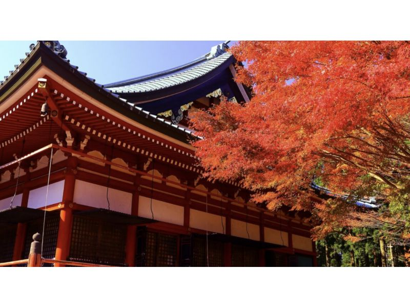 【滋賀・大津】「日本天台三総本山」僧侶がご案内する秋の特別公開（比叡山延暦寺・三井寺・西教寺）の紹介画像