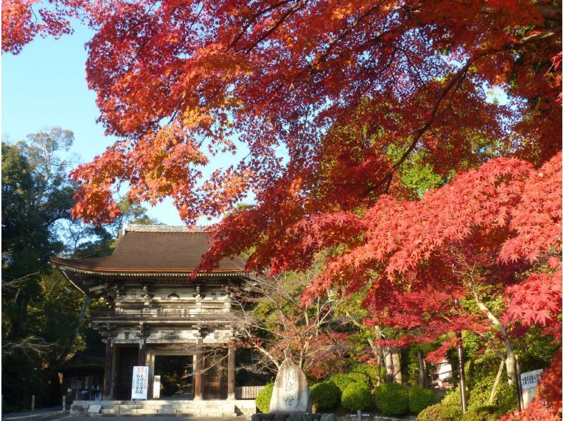 【滋賀・大津】「日本天台三総本山」僧侶がご案内する秋の特別公開（比叡山延暦寺・三井寺・西教寺）の紹介画像