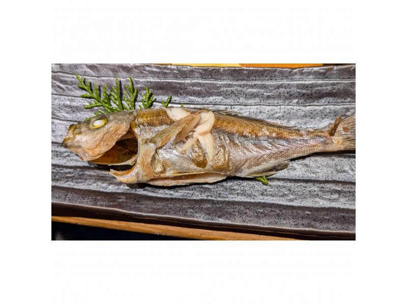 [Kanagawa/Kamakura] Recommended for beginners! All-inclusive boat fishing + cooking the fish you catch (with pick-up and drop-off and instructor)の紹介画像