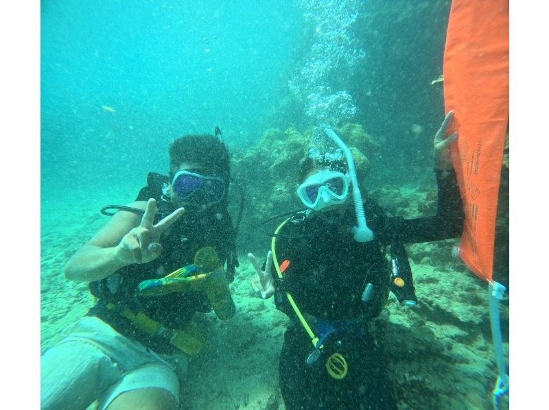【石垣島・初心者OK】\南国サンゴの楽園ダイブ１日体験ダイビングツアー/ 2dive(2dive目シュノーケルに変更OK)器材レンタル込の紹介画像