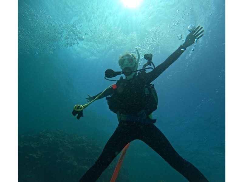【石垣島・初心者OK】\    ハッピーセット⭐︎幻の島上陸&半日体験ダイビングツアー　/ 1dive 器材レンタル込の紹介画像
