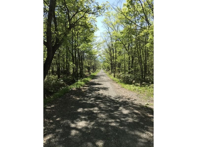 [Hokkaido, Furano] Electric Assist Bicycle Tour MTB ~ Breathtaking views! Natural spring water and photo spots! No need to speak Japanese (groups up to 60 people)の紹介画像