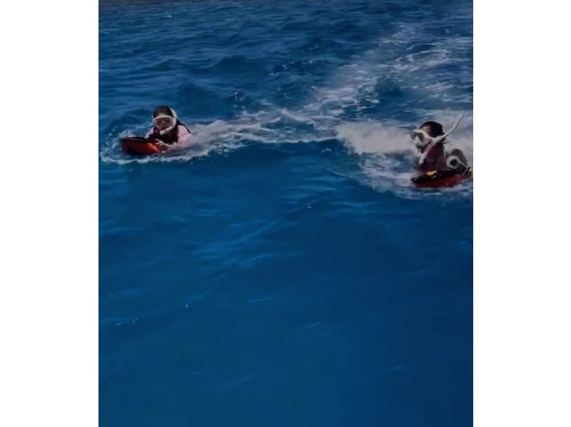 Landing on Hatenohama Beach! Swim with a snorkel parasol at an offshore pointの紹介画像