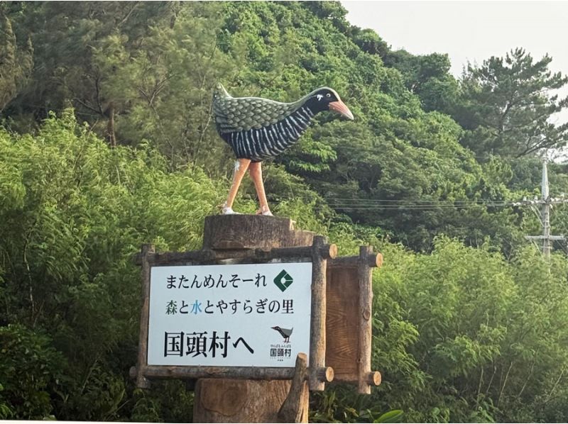 【沖縄本島・最北部 国頭村】原付バイクレンタル♪ 1名様でも気軽な50cc！4時間利用。辺戸岬やアスムイへGO！の紹介画像