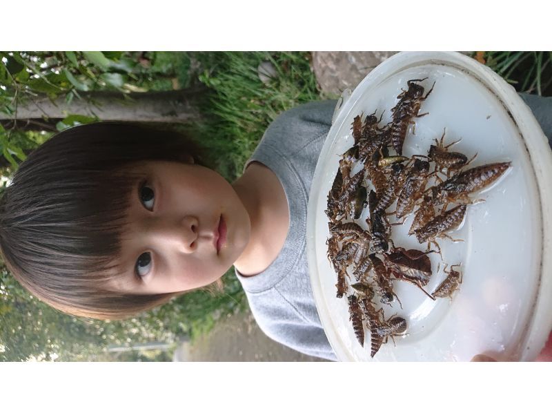 [โชฟุ โตเกียว] แผนการดูแลเด็กจัดขึ้นทุกวันตั้งแต่วันที่ 19 กรกฎาคมถึงสิ้นเดือนสิงหาคมในช่วงปิดเทอมฤดูร้อนในโชฟุの紹介画像