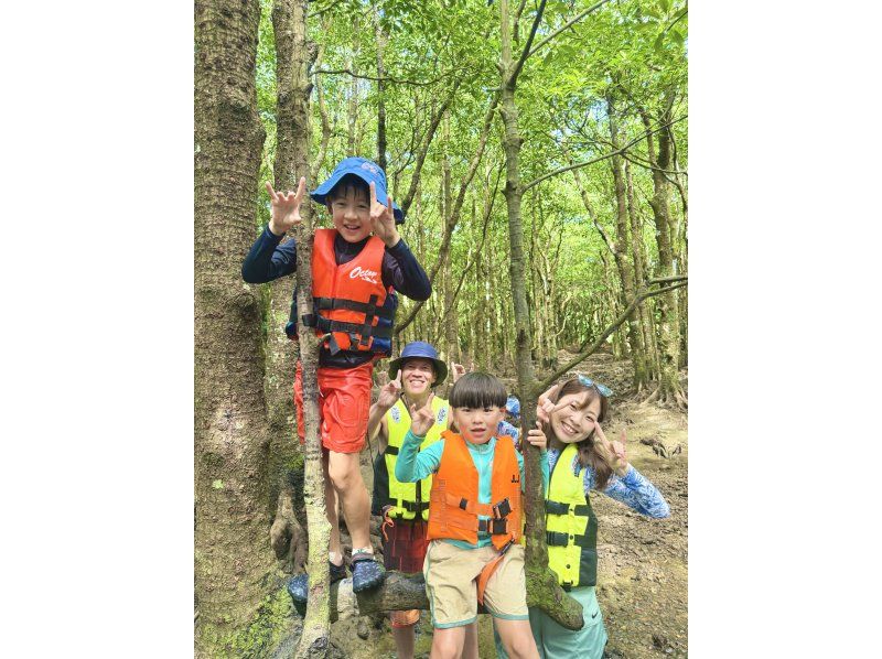 Ishigaki: Rainforest SUP & Drone Photos! Perfect for Rainy Days. Free Photo Data!