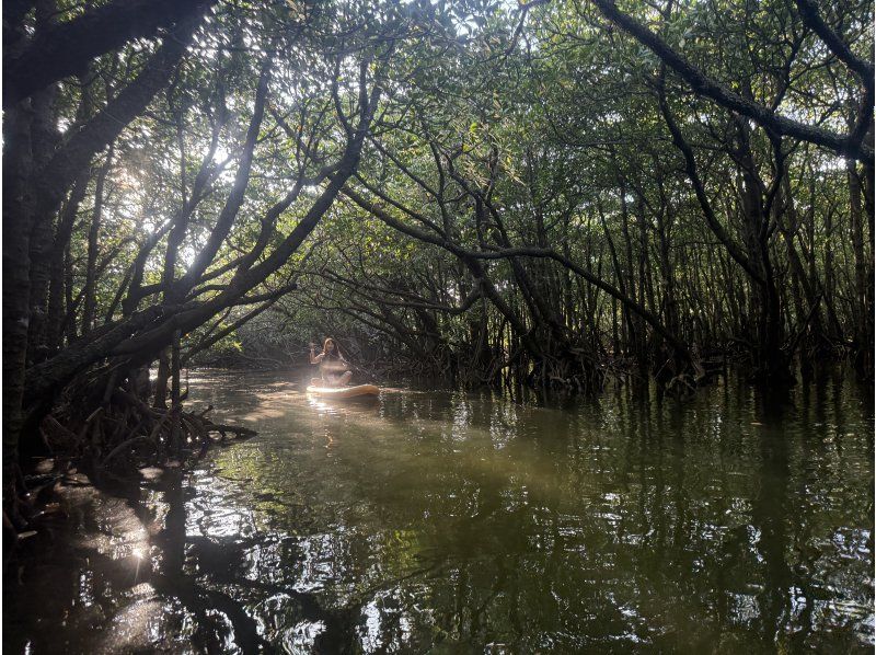 【石垣島｜雨の日こそ映える！】亜熱帯ジャングルSUP＆ドローン撮影！写真データ無料の紹介画像