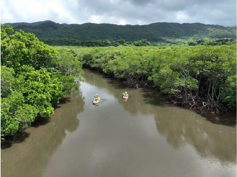 [Ishigaki Island | Private SUP Rental] Subtropical jungle exploration & drone photography! Free photo data & held even during typhoons◎の紹介画像
