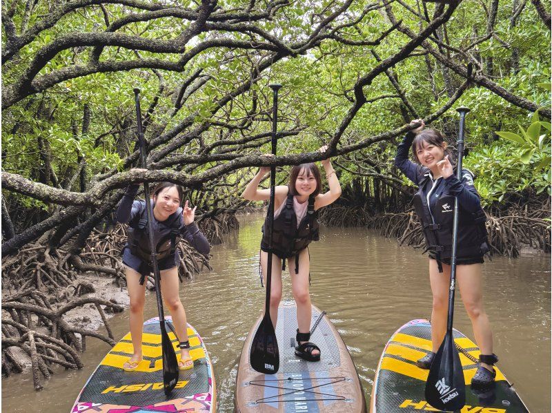 Ishigaki: Rainforest SUP & Drone Photos! Perfect for Rainy Days. Free Photo Data!