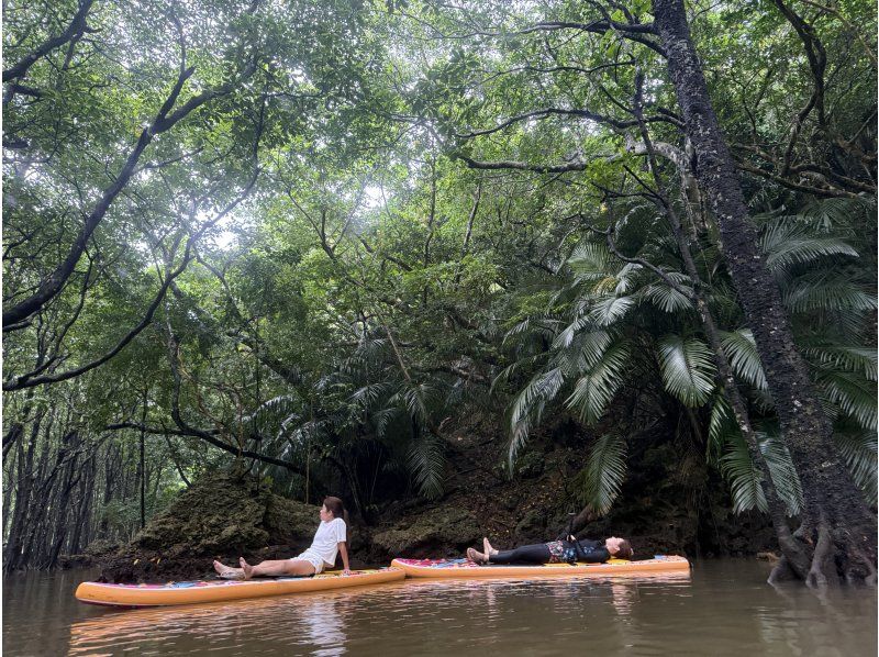 [Ishigaki Island | Private SUP Rental] Subtropical jungle exploration & drone photography! Free photo data & held even during typhoons◎の紹介画像