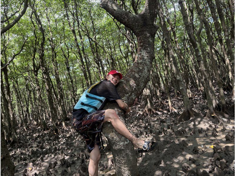 Ishigaki: Rainforest SUP & Drone Photos! Perfect for Rainy Days. Free Photo Data!