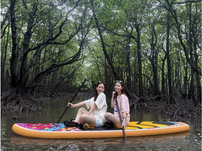 [Ishigaki Island | Private SUP Rental] Subtropical jungle exploration & drone photography! Free photo data & held even during typhoons◎の紹介画像