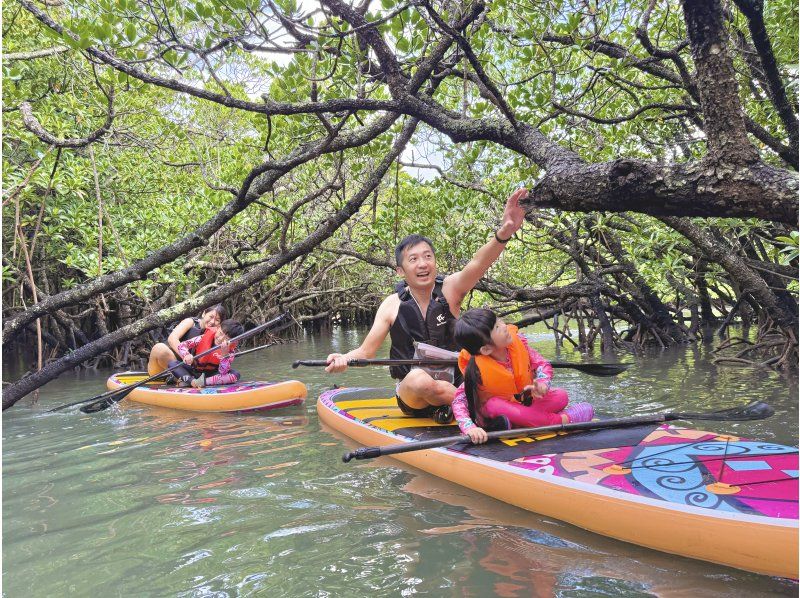Ishigaki: Rainforest SUP & Drone Photos! Perfect for Rainy Days. Free Photo Data!