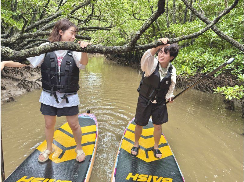 Ishigaki: Rainforest SUP & Drone Photos! Perfect for Rainy Days. Free Photo Data!