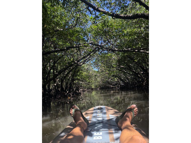 [Ishigaki Island | Private SUP Rental] Subtropical jungle exploration & drone photography! Free photo data & held even during typhoons◎の紹介画像