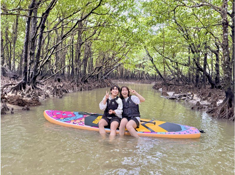 Ishigaki: Rainforest SUP & Drone Photos! Perfect for Rainy Days. Free Photo Data!