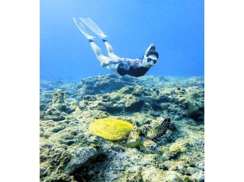 Early morning 7:00am Skin Diving [Okinawa Main Island, Blue Cave] Private ♡ Singles welcome (Japanese/English guide)の紹介画像