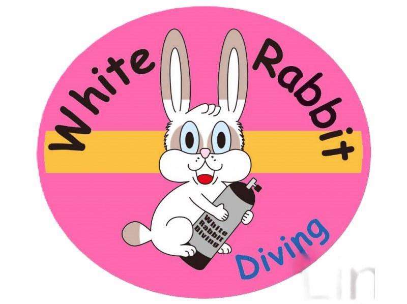 Early morning 7:00am Skin Diving [Okinawa Main Island, Blue Cave] Private ♡ Singles welcome (Japanese/English guide)の紹介画像