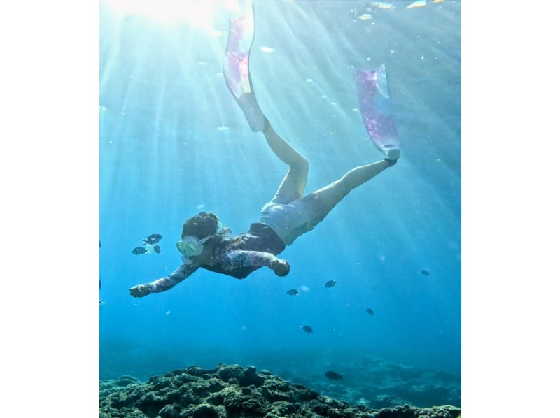 早朝7:00スキンダイビング【沖縄本島・青の洞窟等】初心者♡お一人様歓迎（日本語・Englishガイド）の紹介画像