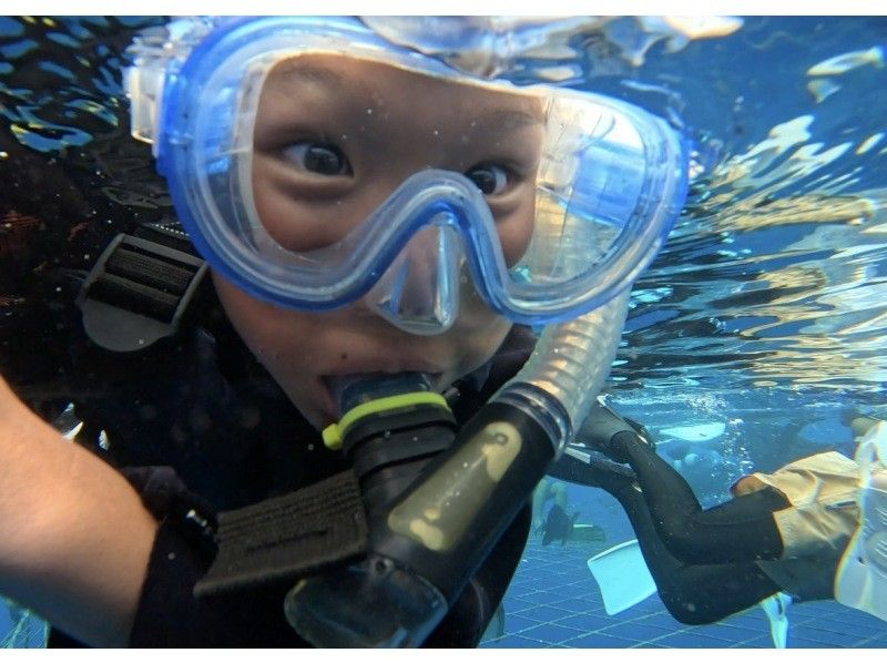 【読谷村】冬でも楽しめる！港から“わずか5分”でジンベエザメに会える特別ツアー！高透明度＆近距離迫力体験／写真・動画無料／初心者大歓迎！の紹介画像