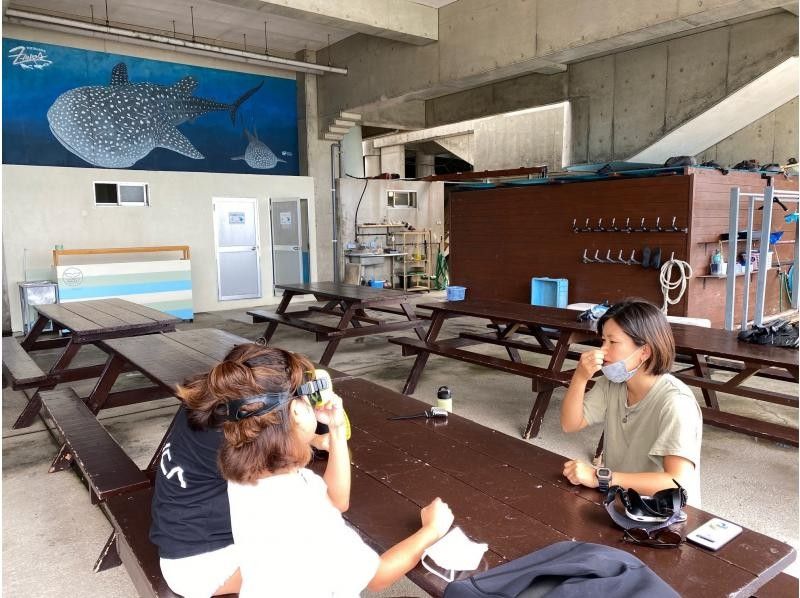 【読谷村】冬でも楽しめる！港から“わずか5分”でジンベエザメに会える特別ツアー！高透明度＆近距離迫力体験／写真・動画無料／初心者大歓迎！の紹介画像