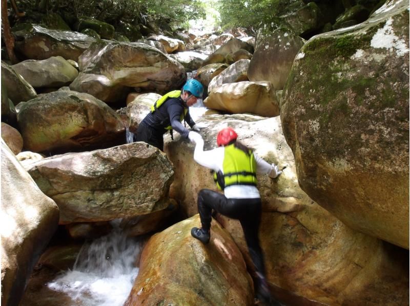 【大分・佐伯市】１組限定【日帰り】夏の藤河内渓谷/「沢歩き・観音小滝シャワー」(弁当/ｺｰﾋｰ/おやつ/♨️付)【装備無料】7～9月の紹介画像