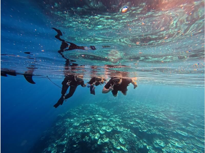 [Ishigaki Island/Private Rental Available] Sea turtle snorkeling! Safe for small children! Free photos and data!の紹介画像