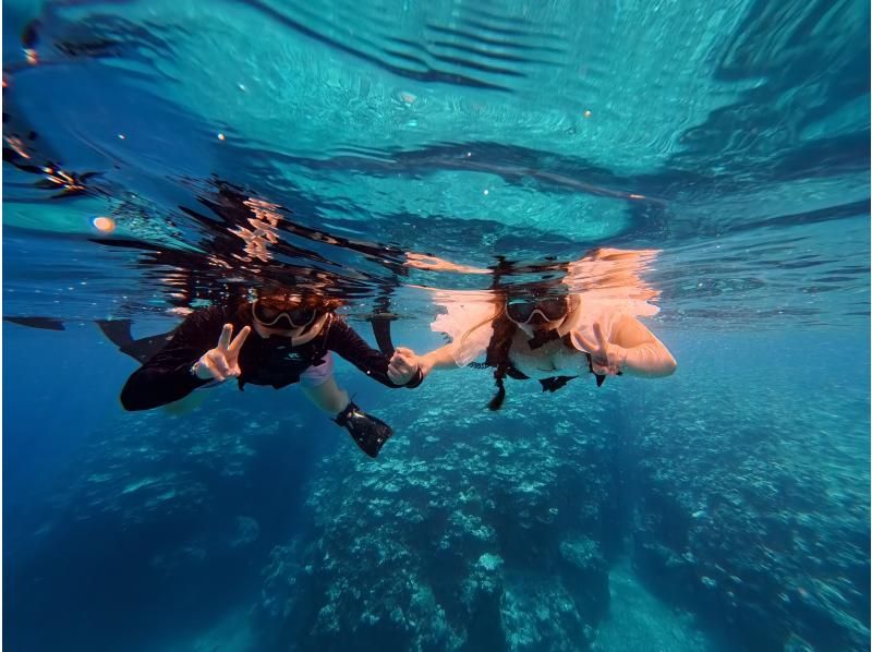 [Ishigaki Island/Private Rental Available] Sea turtle snorkeling! Safe for small children! Free photos and data!の紹介画像