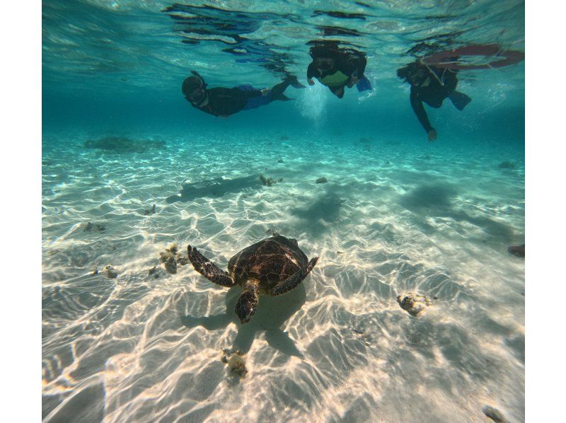 [Yaebisi, Miyakojima] See the colorful corals and fish of Yaebisi from above and below! Glass-bottom boat and snorkeling experience ♪ Guided by a captain from Miyakojima!の紹介画像