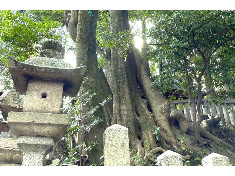 河合町・広陵町ガイドツアー】巨大古墳に寺社仏閣。由来を知って歴史と土地に思いを馳せる 歴史ウォーキングツアーの紹介画像