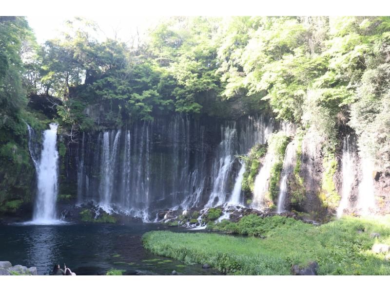 【静岡・富士】【英語/日本語対応】富士山西麓の絶景スポットを巡る 富士山の眺望＆日本酒の試飲が楽しめる酒蔵見学付きツアーの紹介画像