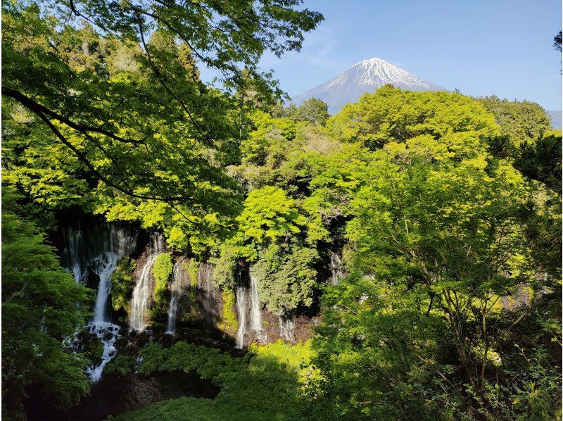 [Shizuoka/Fuji] View of Mt. Fuji from the western foot of Mt. Fuji - Tour with sake brewery tour and sake tasting (course can be customized)の紹介画像