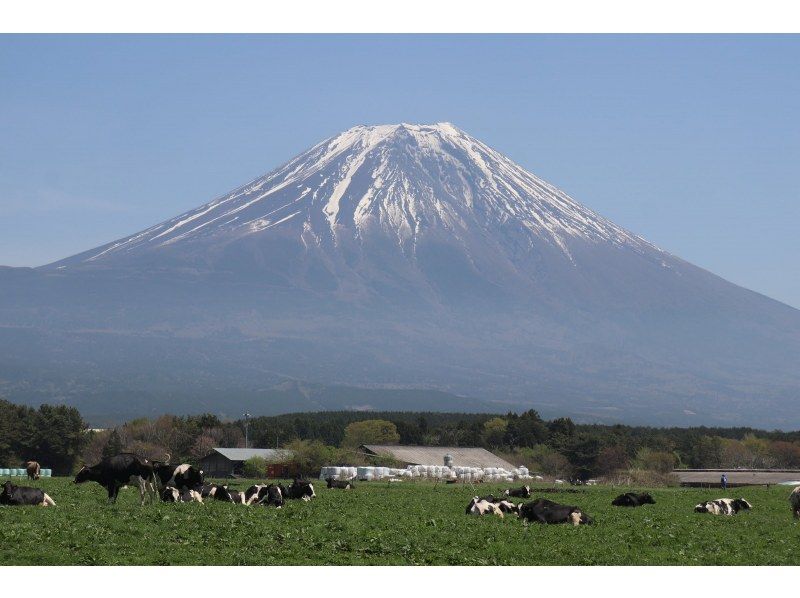 [Shizuoka/Fuji] View of Mt. Fuji from the western foot of Mt. Fuji - Tour with sake brewery tour and sake tasting (course can be customized)の紹介画像