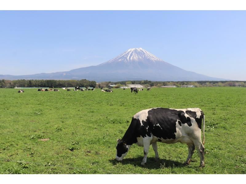 [Shizuoka/Fuji] View of Mt. Fuji from the western foot of Mt. Fuji - Tour with sake brewery tour and sake tasting (course can be customized)の紹介画像