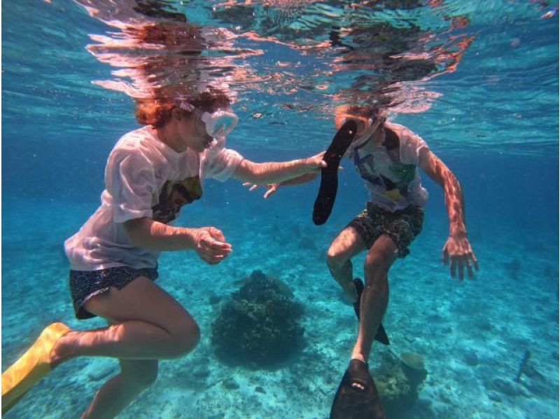 [Okinawa, Zamami Island] Same-day participation possible! A very satisfying 90-minute boat snorkel tour! See sea turtles♪ Beginners welcome! Come empty-handed & get free photo dataの紹介画像