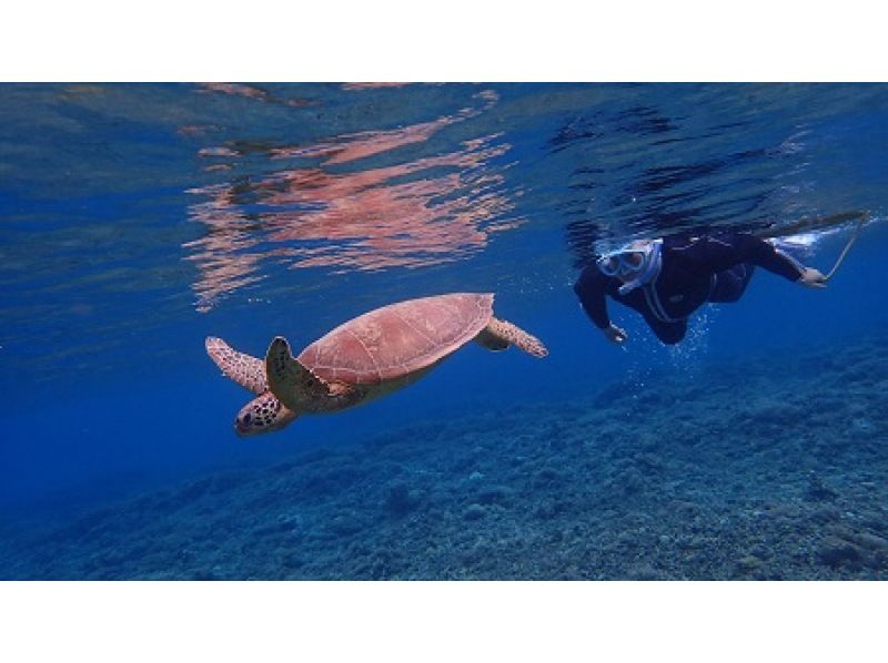 [Okinawa, Zamami Island] Same-day participation possible! A very satisfying 90-minute boat snorkel tour! See sea turtles♪ Beginners welcome! Come empty-handed & get free photo dataの紹介画像