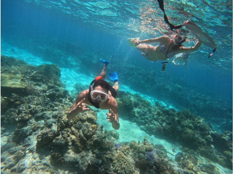 [Okinawa, Zamami Island] Same-day participation possible! A very satisfying 90-minute boat snorkel tour! See sea turtles♪ Beginners welcome! Come empty-handed & get free photo dataの紹介画像