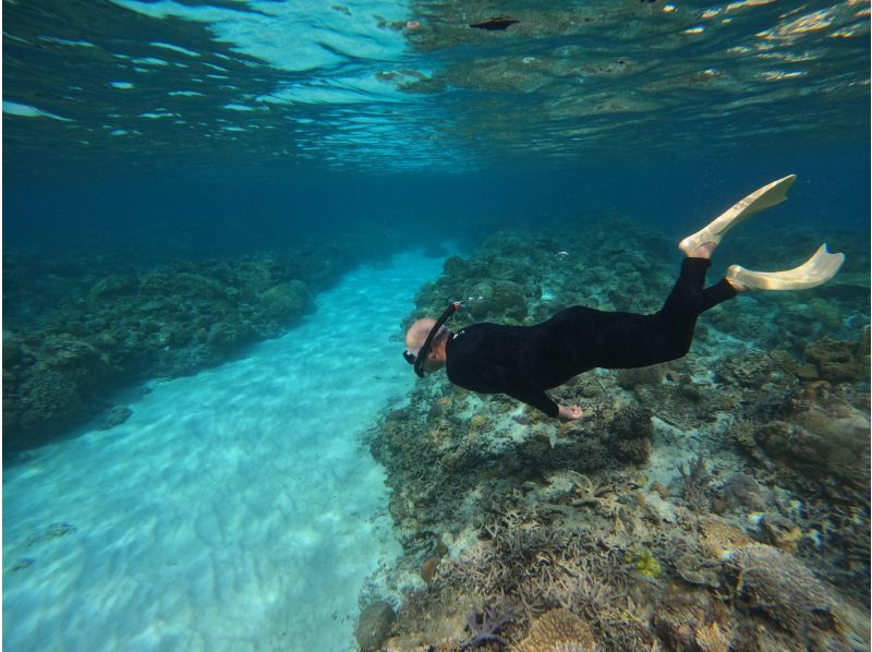 [Okinawa, Zamami Island] Same-day participation possible! A very satisfying 90-minute boat snorkel tour! See sea turtles♪ Beginners welcome! Come empty-handed & get free photo dataの紹介画像