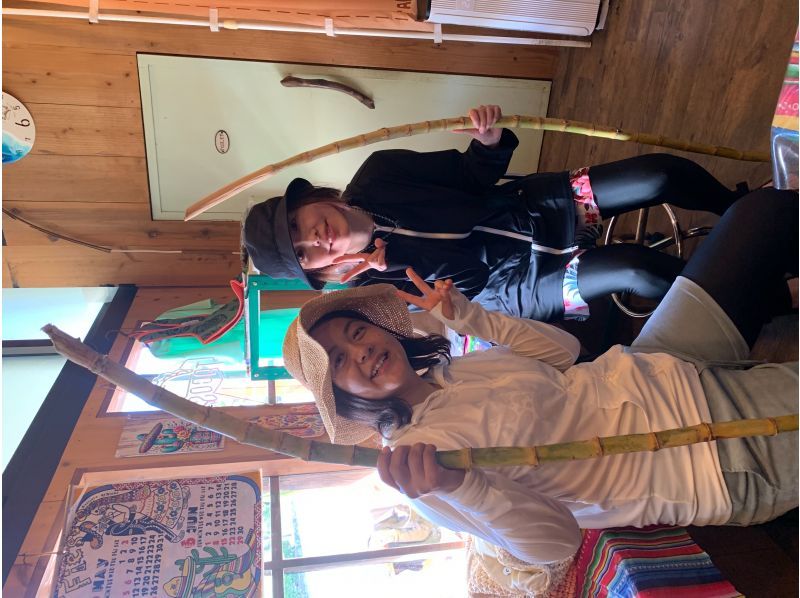 Sugarcane harvesting experience & popular sea turtle snorkeling tourの紹介画像