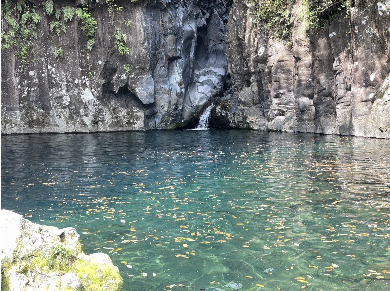 【静岡・裾野】初めてでも安心！富士山のふもとで半日キャニオニング体験ツアー！カップル・ファミリーにおすすめ♪の紹介画像